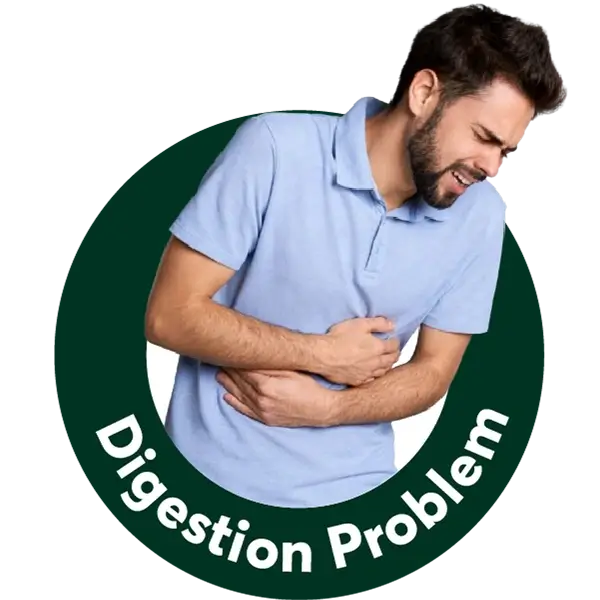 Digestion & Gut Health