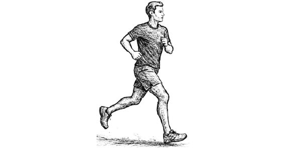 Support For Joint Mobility