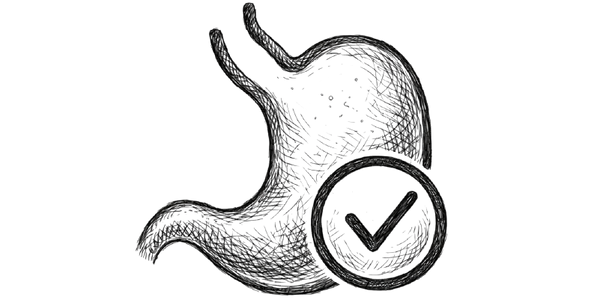 Supports Smooth Digestion