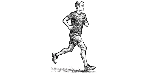 Promotes Daily Energy & Wellness