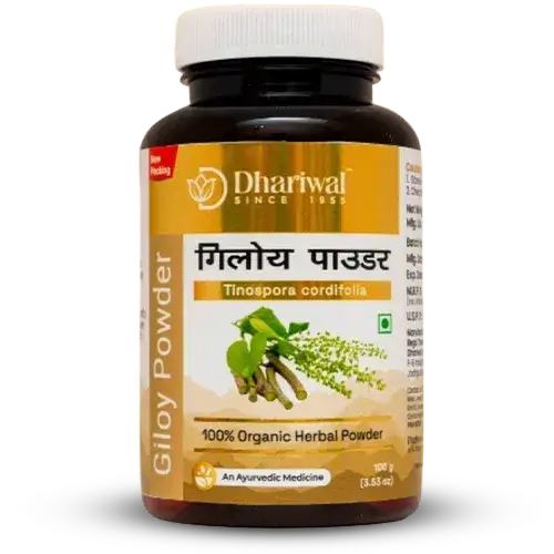 Giloy Powder