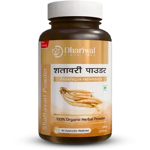 Shatavari Powder