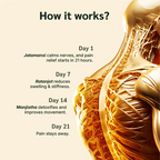 Mahaveer Tel - Ayurvedic Pain Relief Oil