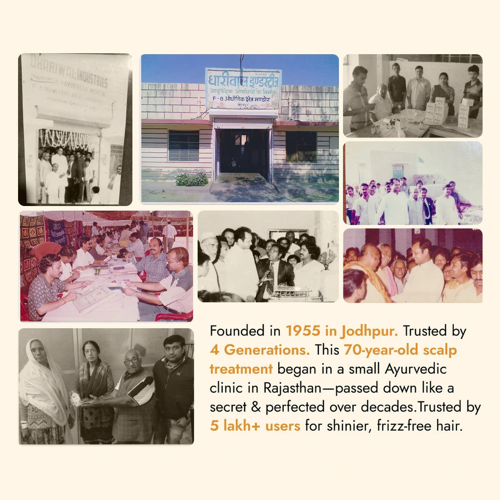 Keshmary Hair Oil - Frizz Free Hair