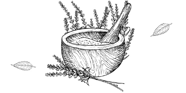 Rooted in Ayurvedic Heritage